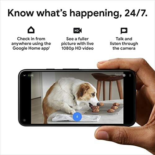 Smartphone displaying live video feed of a dog with text about Google Home app features.